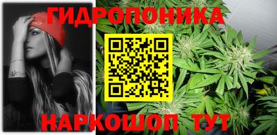 крисы Балашиха