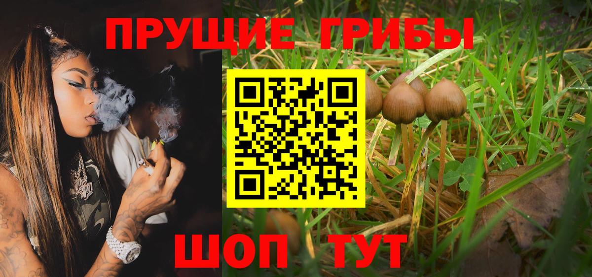 Галлюциногенные грибы GOLDEN TEACHER Горячий Ключ